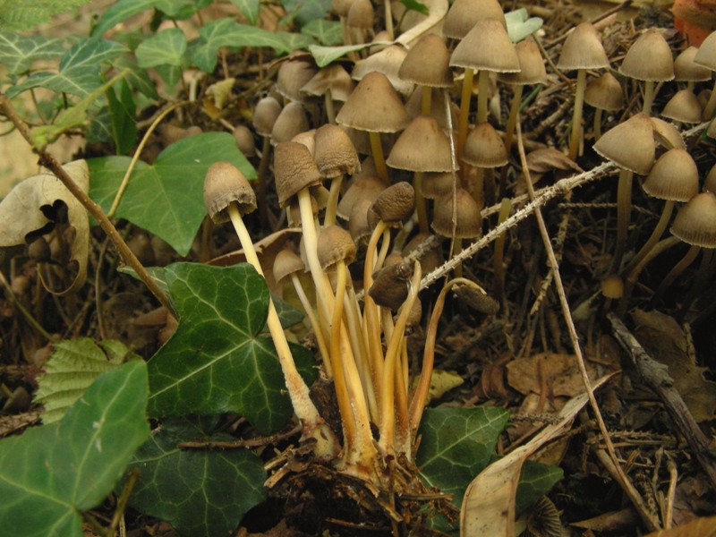 una coppia affiatata